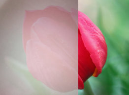 1683794585794907.png 1602825312214840.png